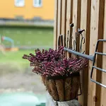 Garden Next To Telliskivi & Old Town Apartament *