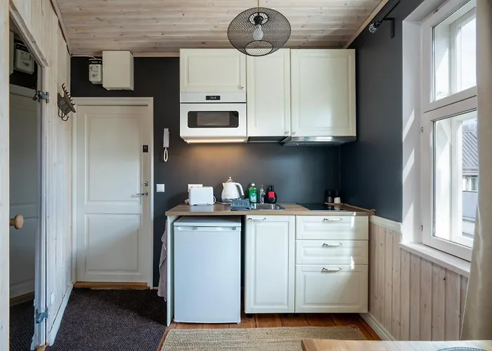 Garden Next To Telliskivi & Old Town Apartment *