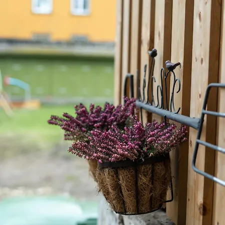 Garden Next To Telliskivi & Old Town Apartman *