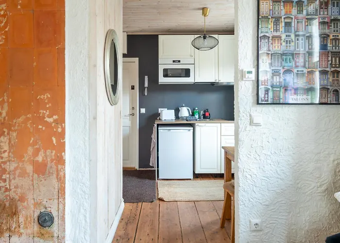 Garden Next To Telliskivi & Old Town